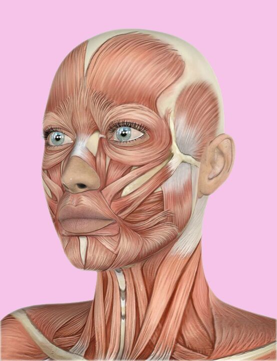 Human face cloth